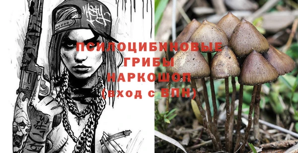 прущая мука Богданович