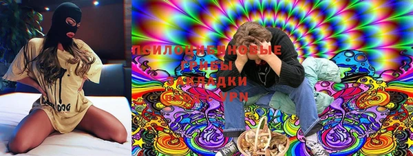 первитин Бородино