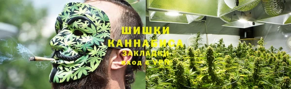 прущая мука Богданович