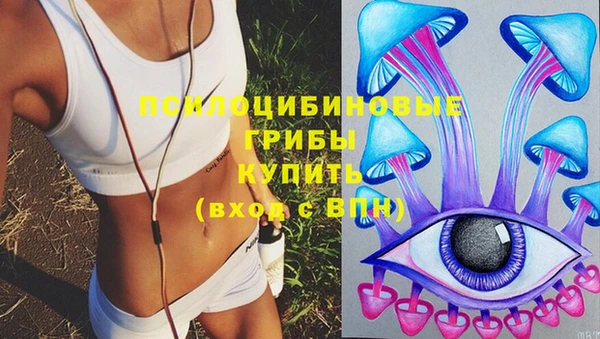 первитин Бородино
