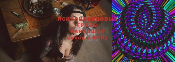 стаф Богородицк