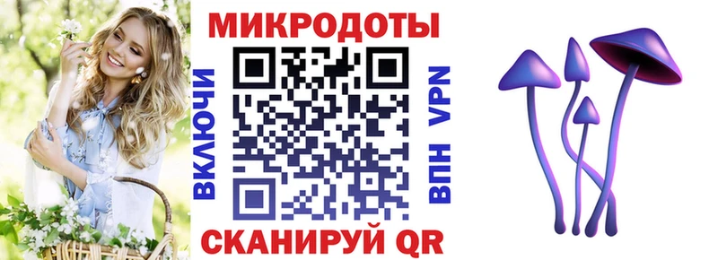 Галлюциногенные грибы Cubensis  закладка  Давлеканово 